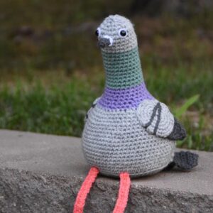 pigeon buddy